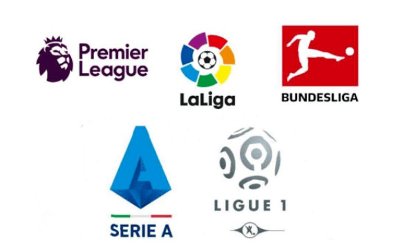 在近日举行 在近日举行